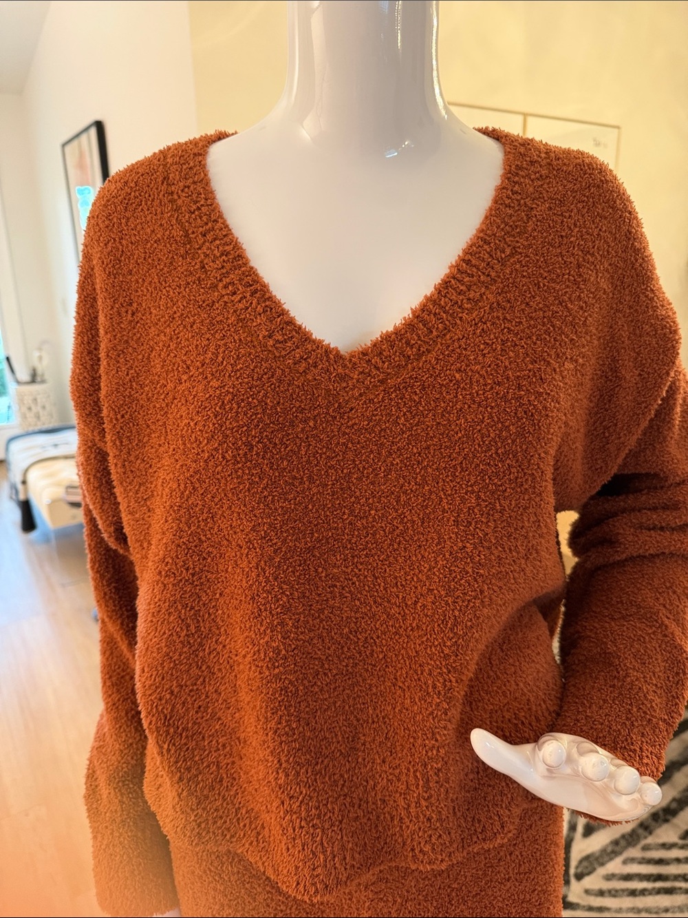 Cozy V-Neck Plush Pullover Top - Rust
